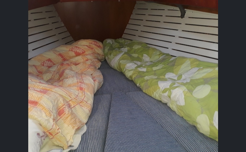 Mahonkivene Olle Enderline-kuva-10